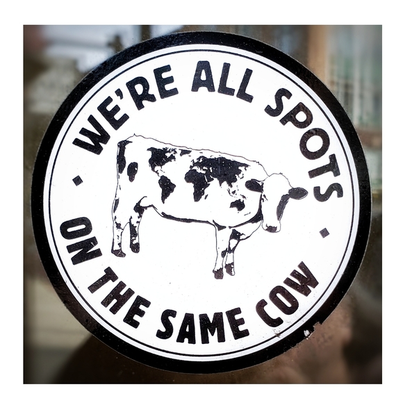 Meet your Posher, Rhonda. - Picture 3 of 5